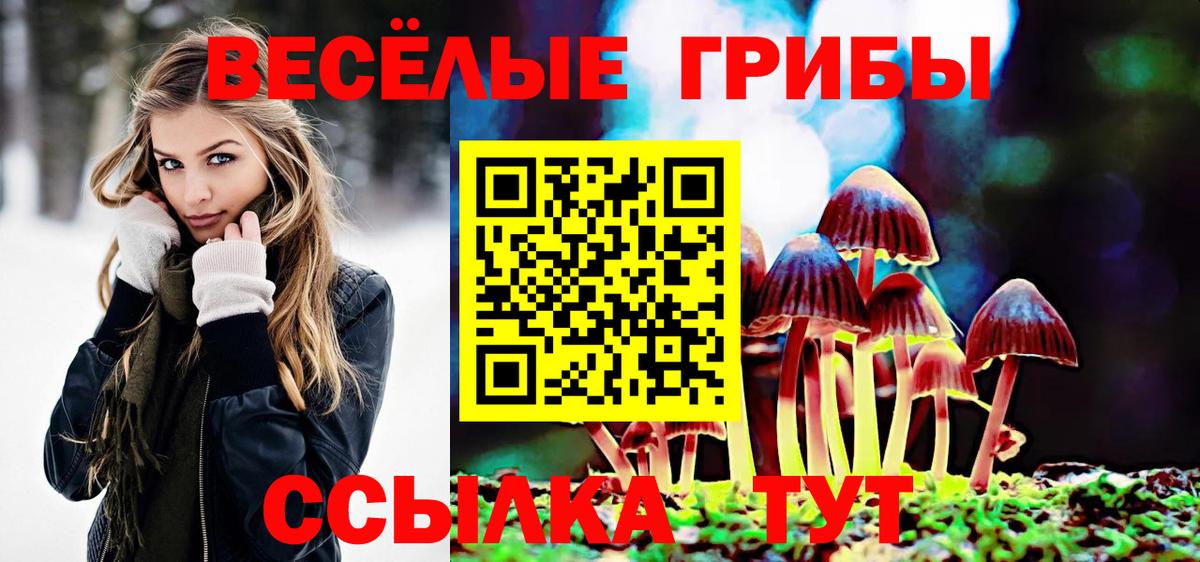 Каспийск  Псилоцибиновые грибы ЛСД  Вход с VPN 